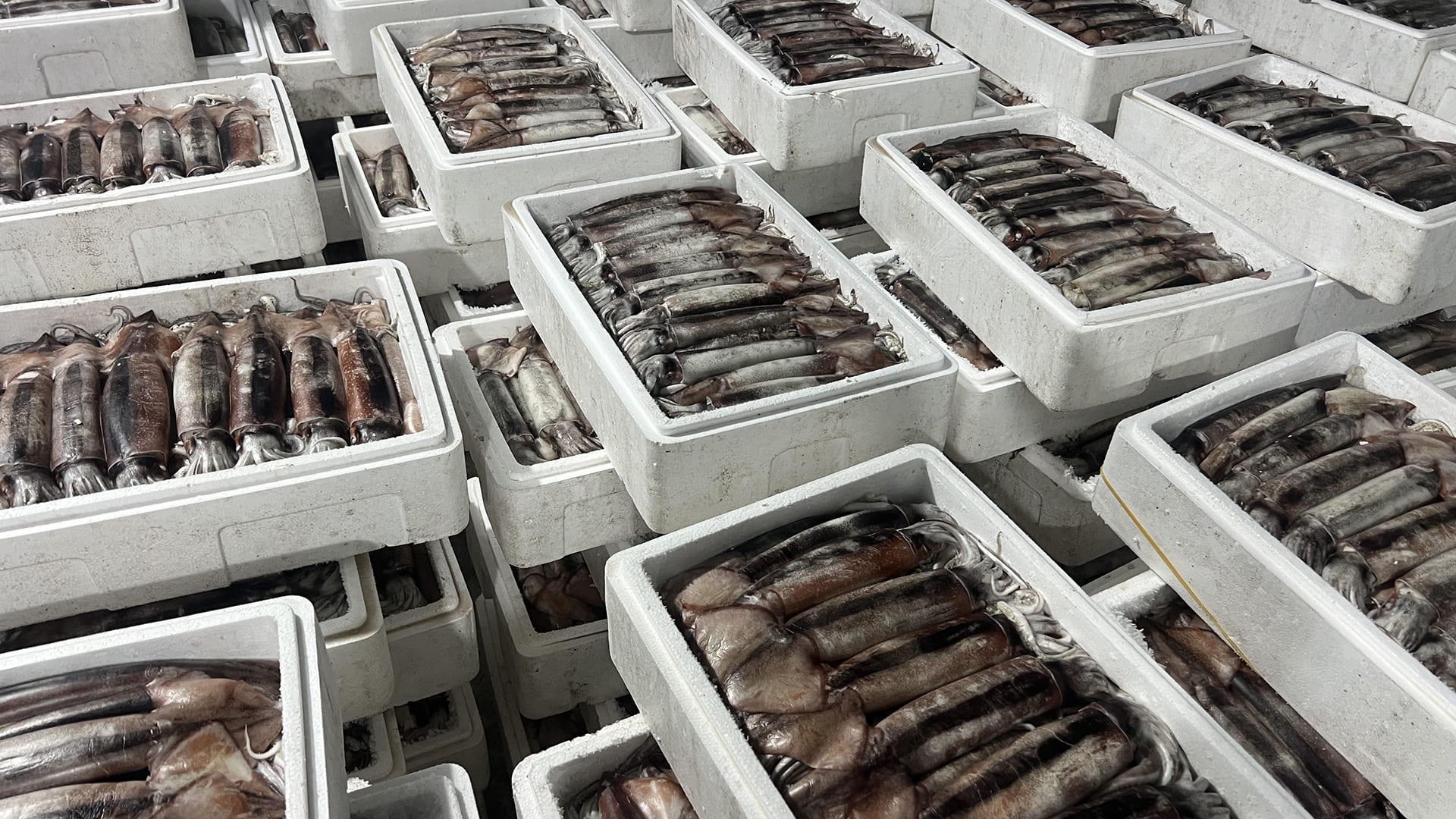 태안로컬씨푸드 이미지 3